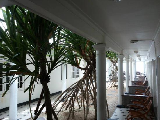Ap Nippon Beach Hikkaduwa Exterior foto